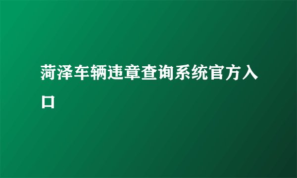菏泽车辆违章查询系统官方入口
