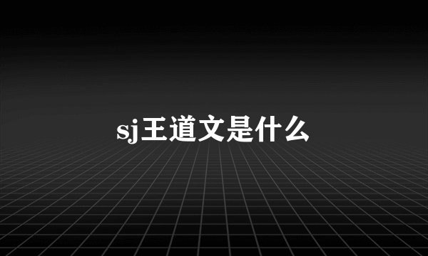 sj王道文是什么