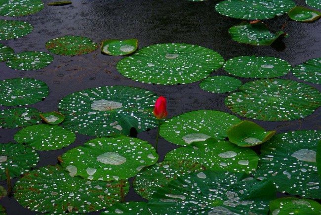 你是怎样的一个人？