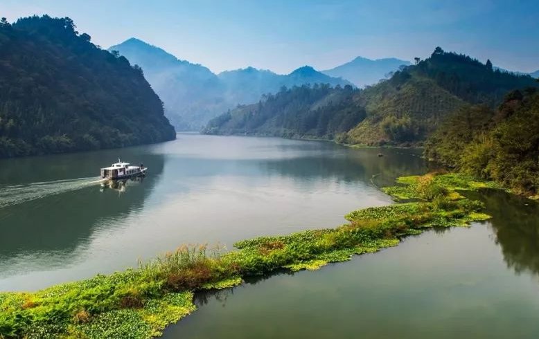 清流是什么意思