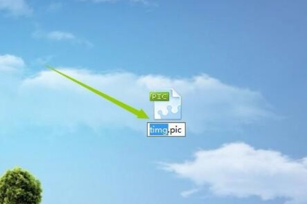 图片pic什么意思？