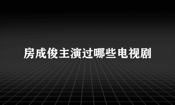 房成俊主演过哪些电视剧