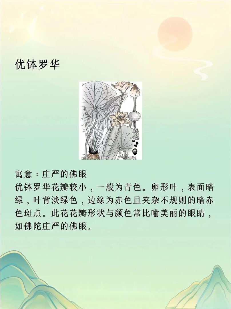 天花乱坠是什么意思？？