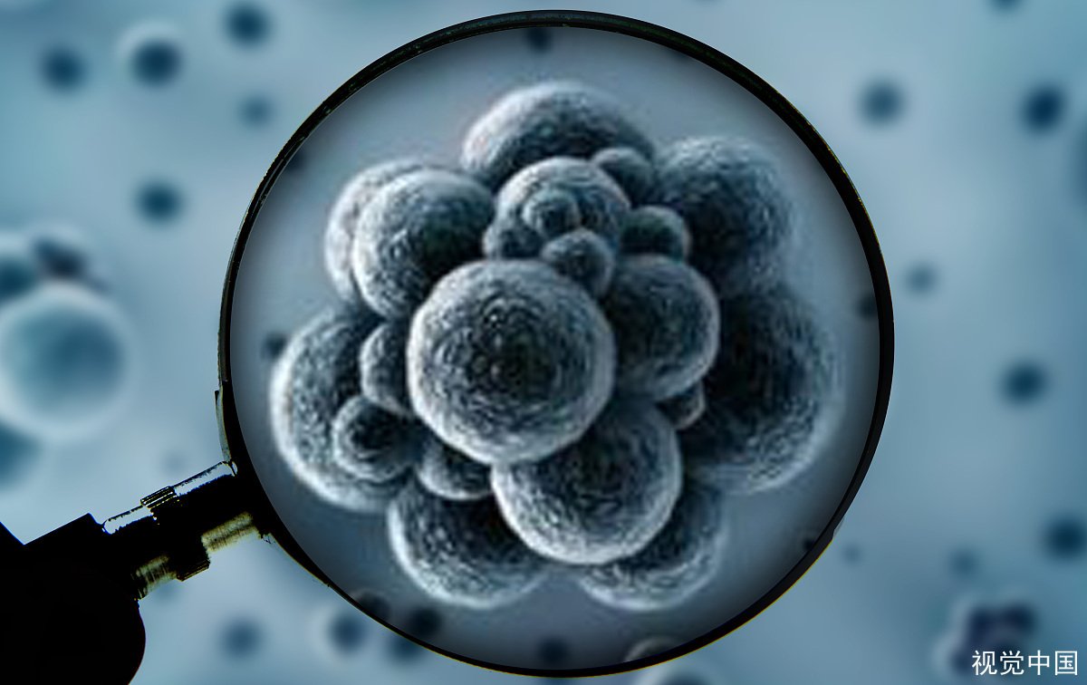 美国一养老院94人或全部感染肺炎，究竟是怎么造成的？