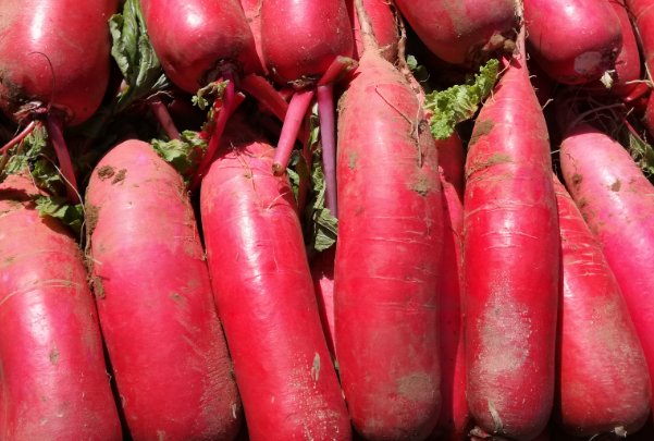 12岁小女孩拔萝卜怎么拔