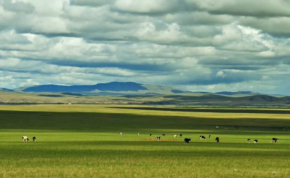 广袤无垠怎么读