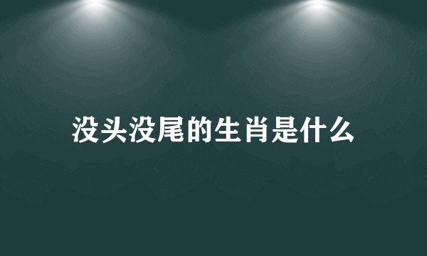 没头没尾的生肖是什么