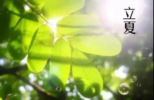 夏天起伏是指什么？每年的什么时期是起伏？