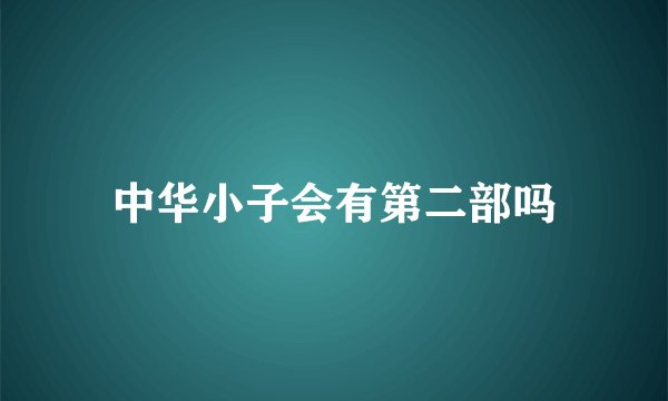 中华小子会有第二部吗