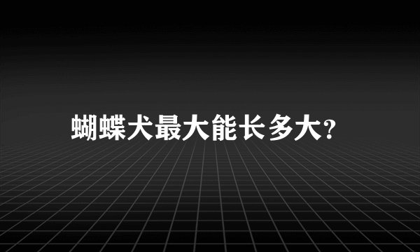 蝴蝶犬最大能长多大？