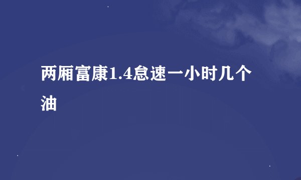 两厢富康1.4怠速一小时几个油