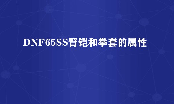 DNF65SS臂铠和拳套的属性