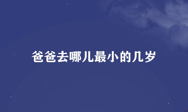 爸爸去哪儿最小的几岁