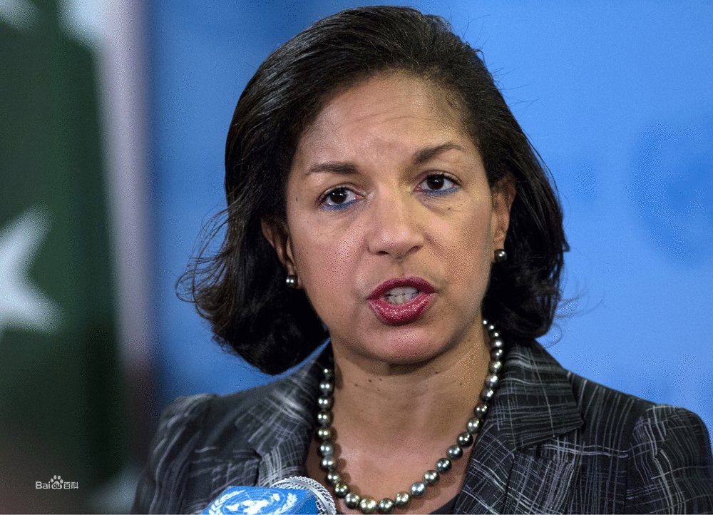 苏珊·赖斯的介绍