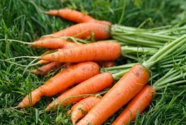 脆生生的是什么食物