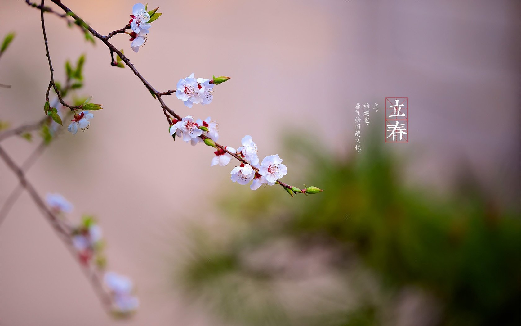 今年什么时候立春又是几点几分?