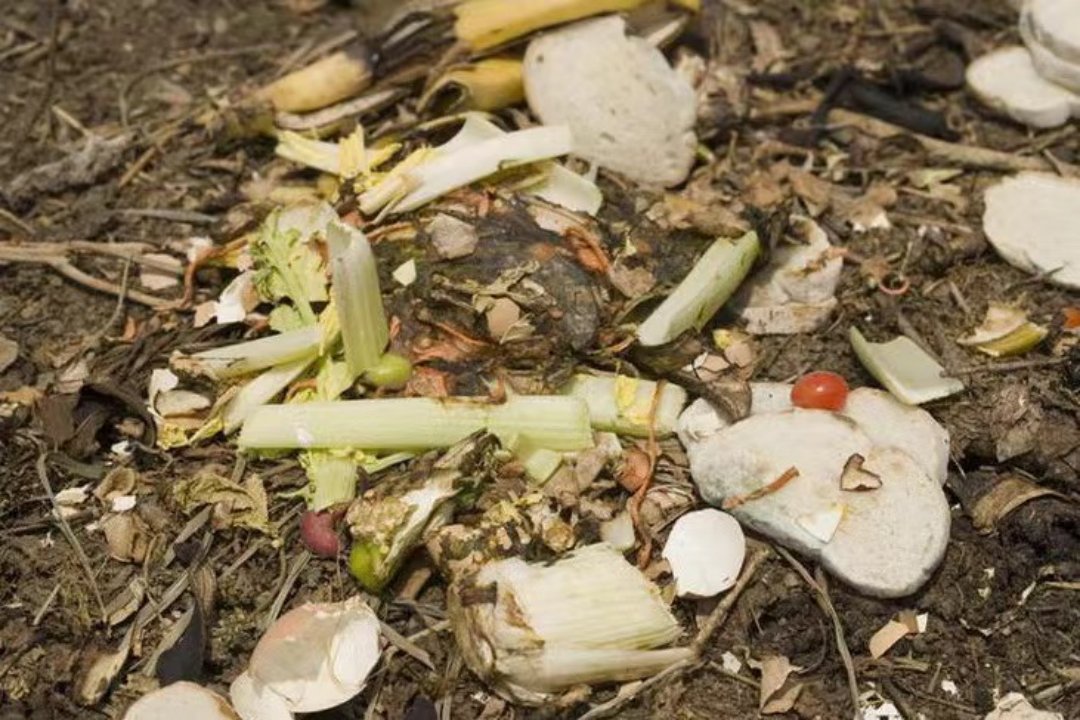 糟粕的读音和意思