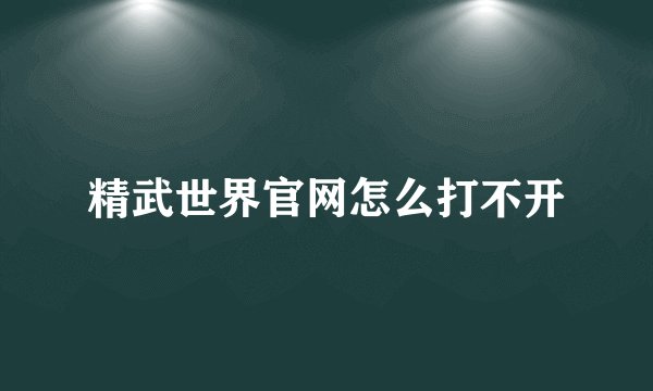 精武世界官网怎么打不开