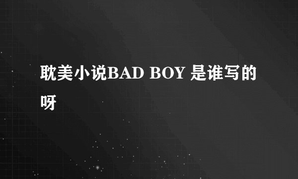 耽美小说BAD BOY 是谁写的呀