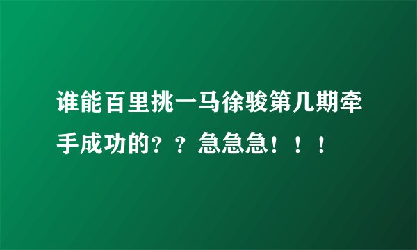 谁能百里挑一马徐骏第几期牵手成功的？？急急急！！！