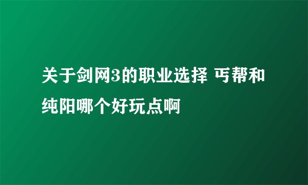 关于剑网3的职业选择 丐帮和纯阳哪个好玩点啊