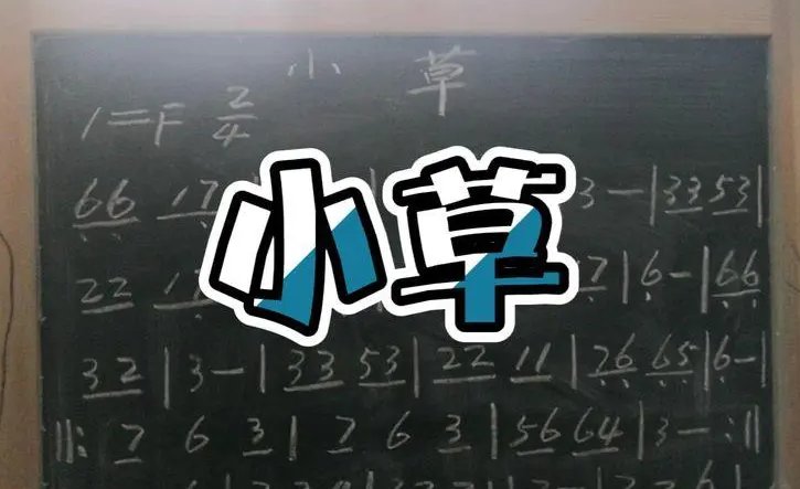 没有花香,没有树高,我是一棵无人知道的小草歌词