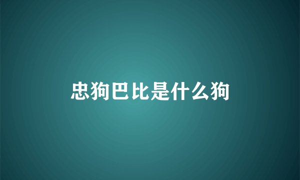忠狗巴比是什么狗