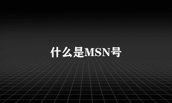 什么是MSN号