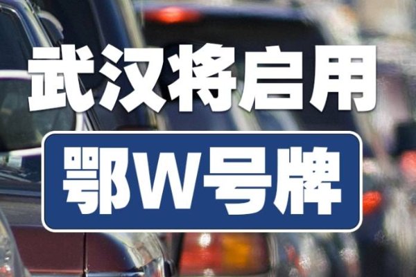 鄂w是湖北哪里的车牌