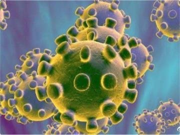 四川出现禽流感，是否会危害人类的健康？