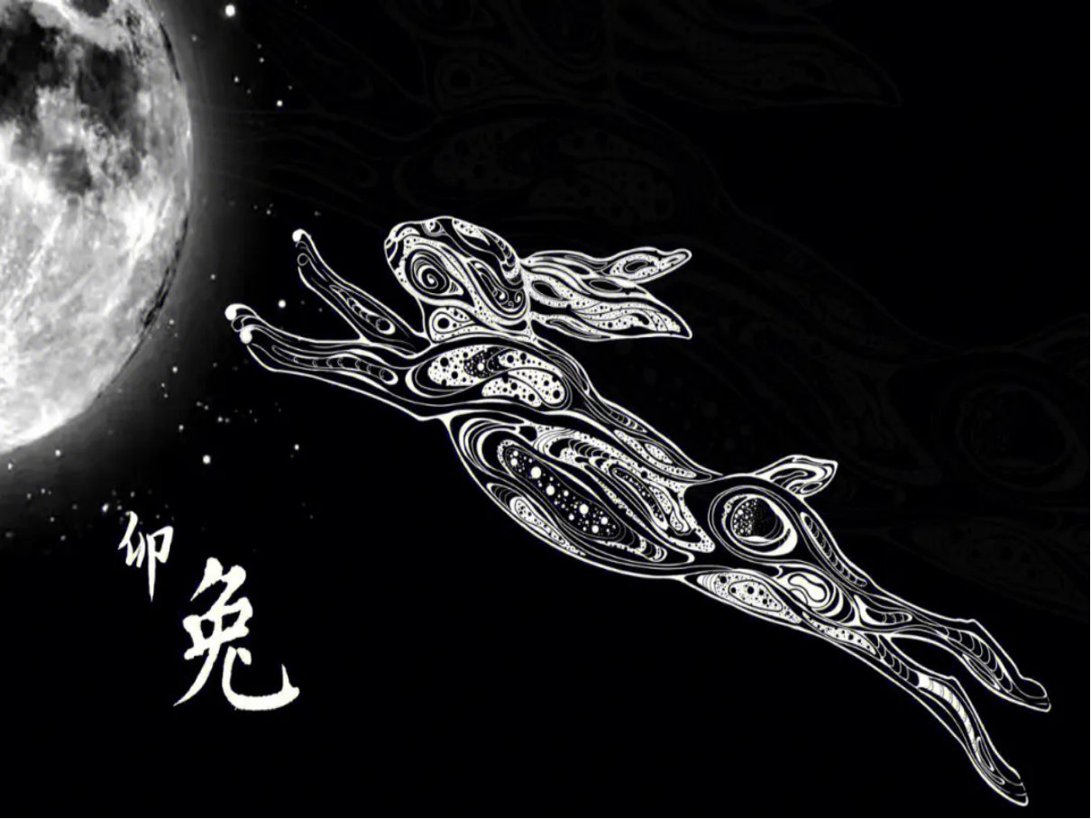 2011年属什么生肖