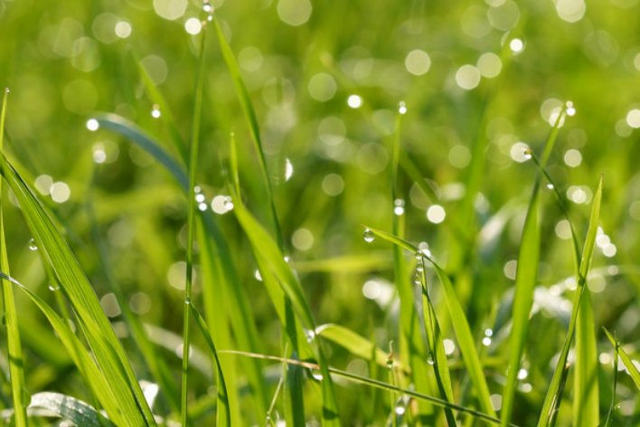 翻的拼音是什么