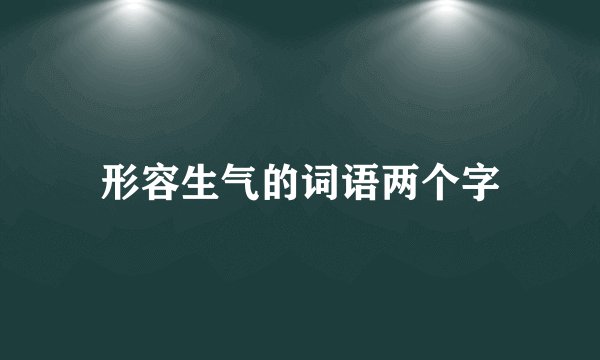 形容生气的词语两个字