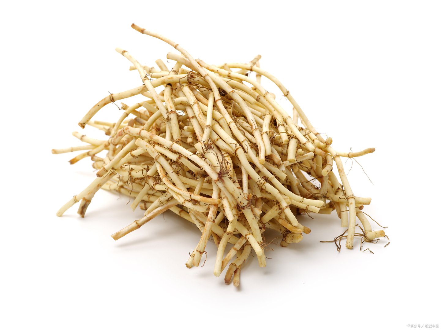 为什么折耳根又被叫做鱼腥草？它生长在哪些地方？