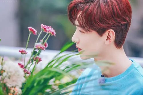 王子文和白敬亭新戏演姐弟恋,两人是否般配?