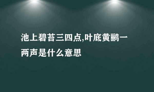 池上碧苔三四点,叶底黄鹂一两声是什么意思