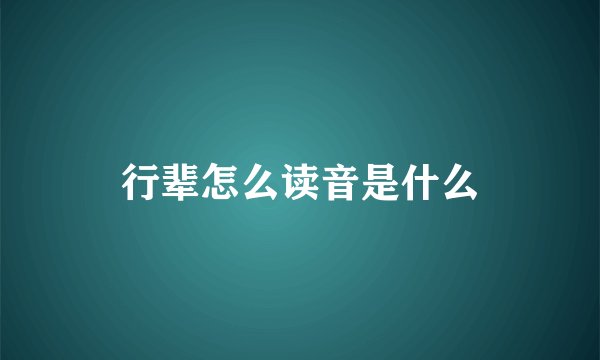 行辈怎么读音是什么