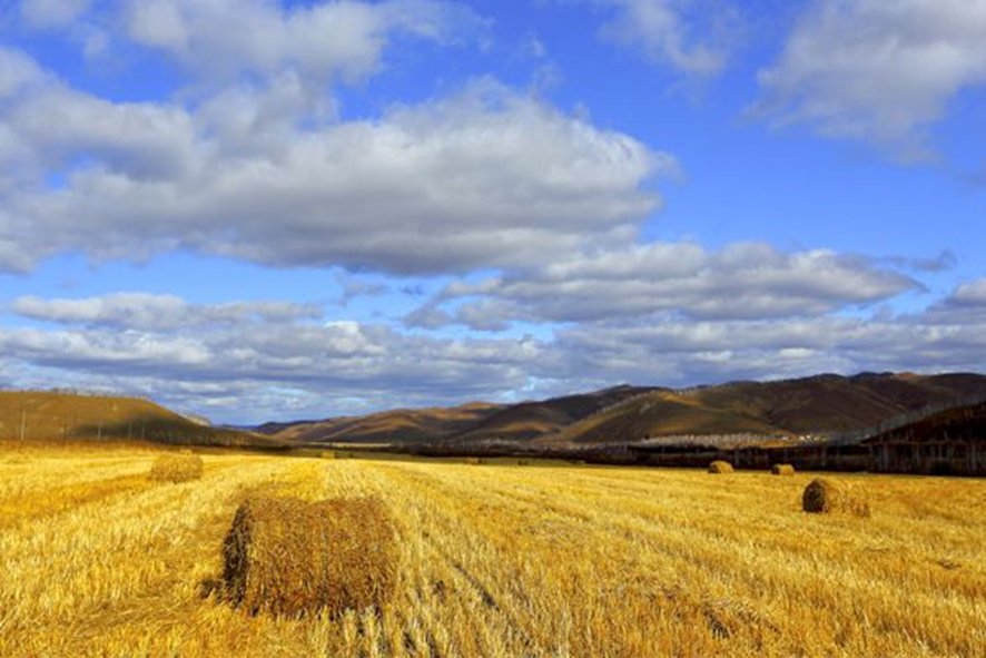 2023年入秋是公秋还是母秋