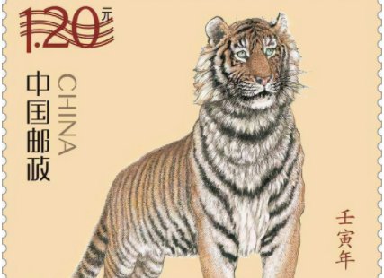 壬寅年是什么年