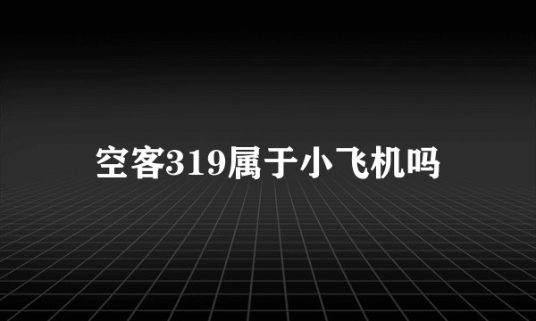 空客319属于小飞机吗