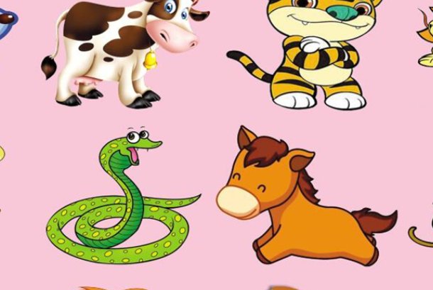 不古不今是什么生肖动物