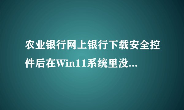 农业银行网上银行下载安全控件后在Win11系统里没办法安装，怎么解决？