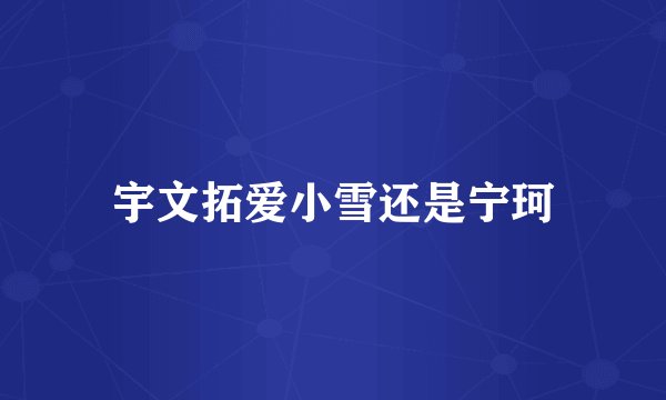 宇文拓爱小雪还是宁珂