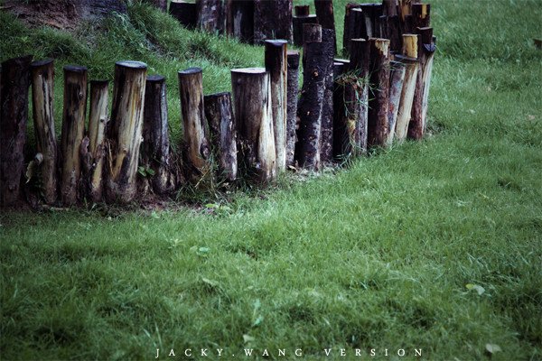 短的笔顺笔画顺序