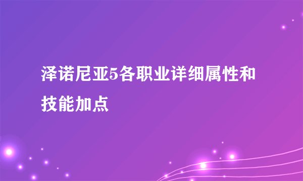 泽诺尼亚5各职业详细属性和技能加点