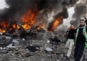 防空警报响起大象围成一圈保护小象，这能体现出什么？