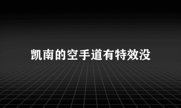 凯南的空手道有特效没