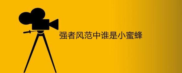 《强者风范》中谁是小蜜蜂?