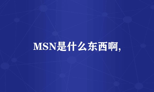 MSN是什么东西啊,