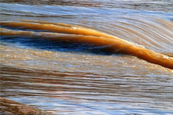 浊的拼音怎么写